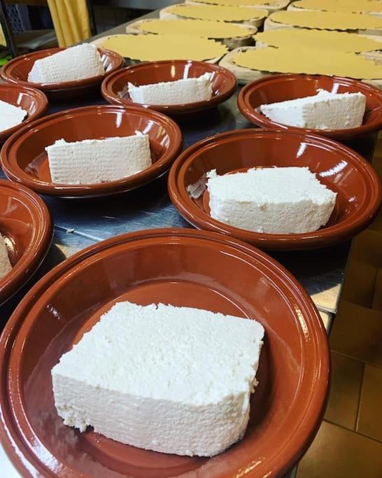 Seùlo B&B Helga'S Agricampeggio מראה חיצוני תמונה