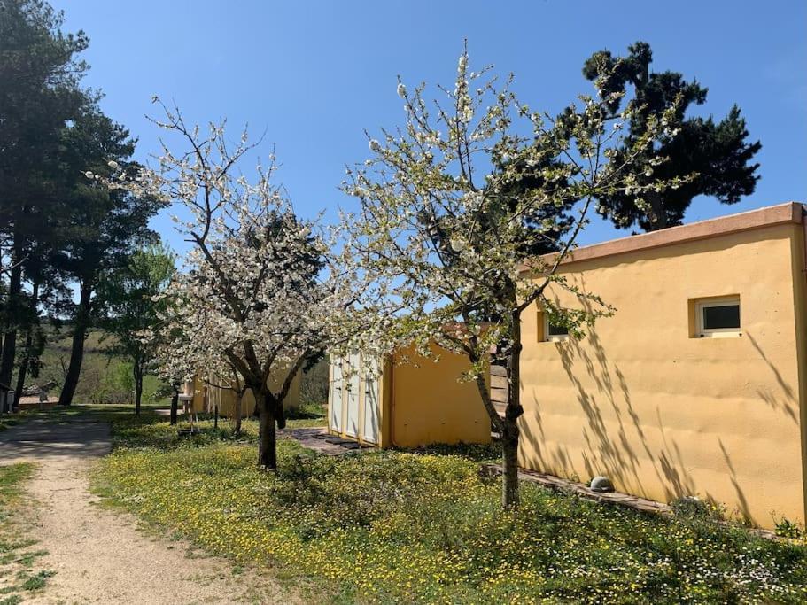 Seùlo B&B Helga'S Agricampeggio מראה חיצוני תמונה