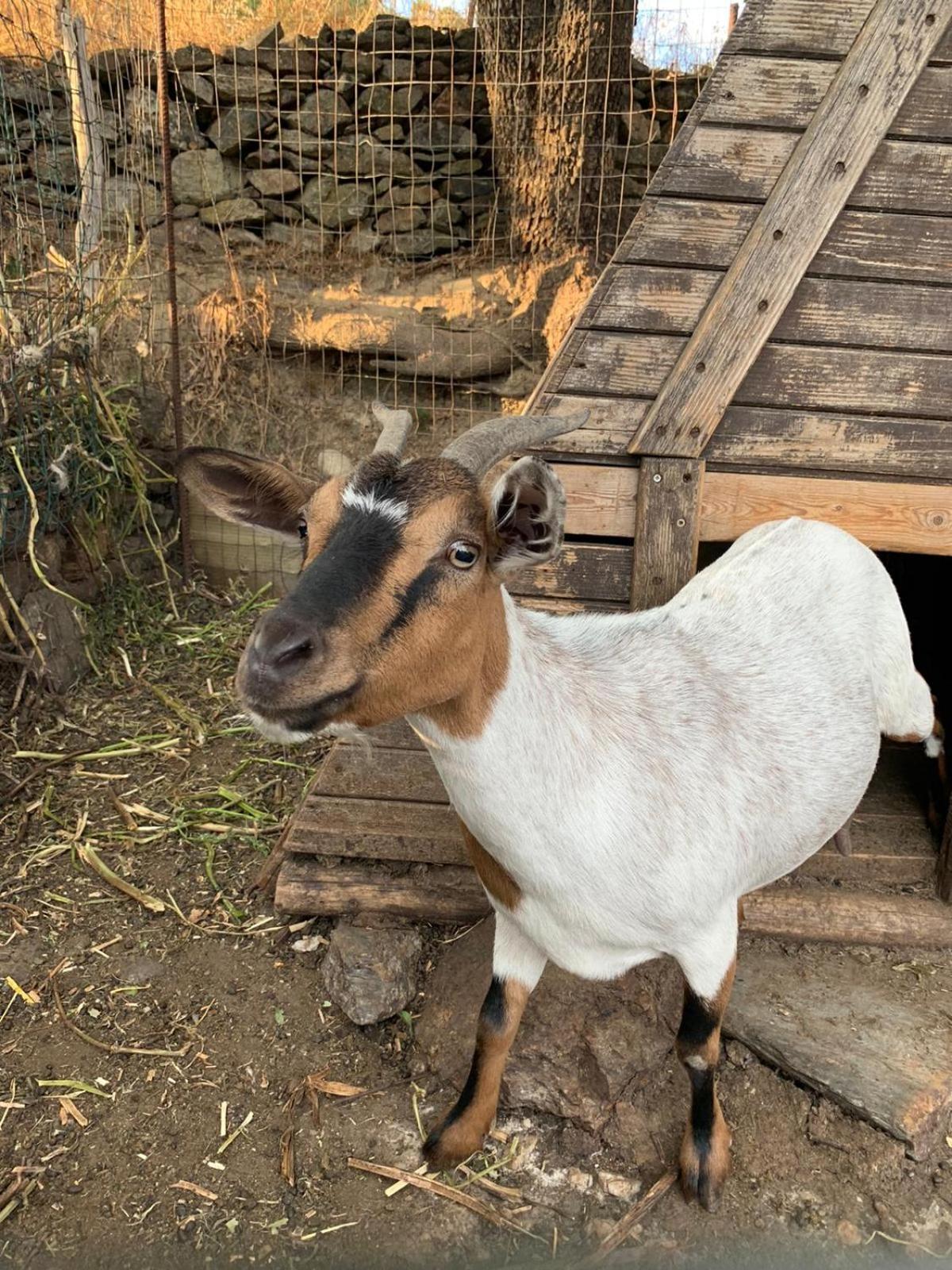 Seùlo B&B Helga'S Agricampeggio מראה חיצוני תמונה